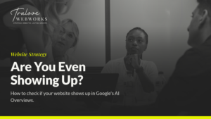 Trulove Webworks blog post about Google AI Overviews visibility