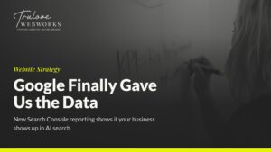 Trulove Webworks blog post about Google Search Console AI data